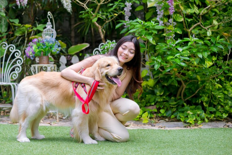 Top 5 Beginner-Friendly Exotic Pets