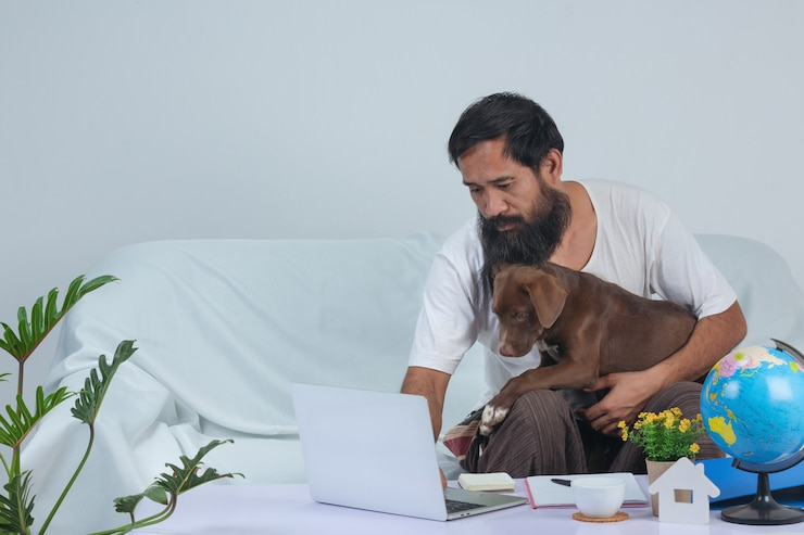 Common Myths About Pet Insurance Debunked