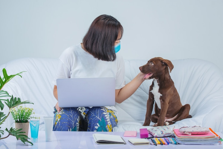Creating a Pet-Friendly Home: Tips for Comfort and Safety