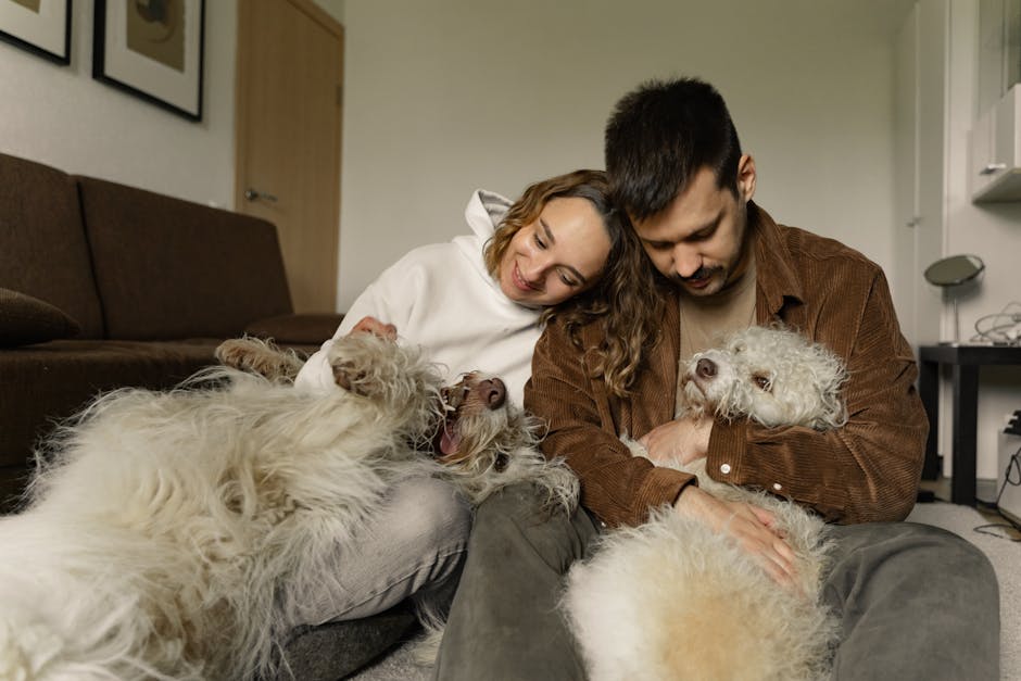 9 Brilliant and Unconventional Ways to Embrace Pet Care Trends