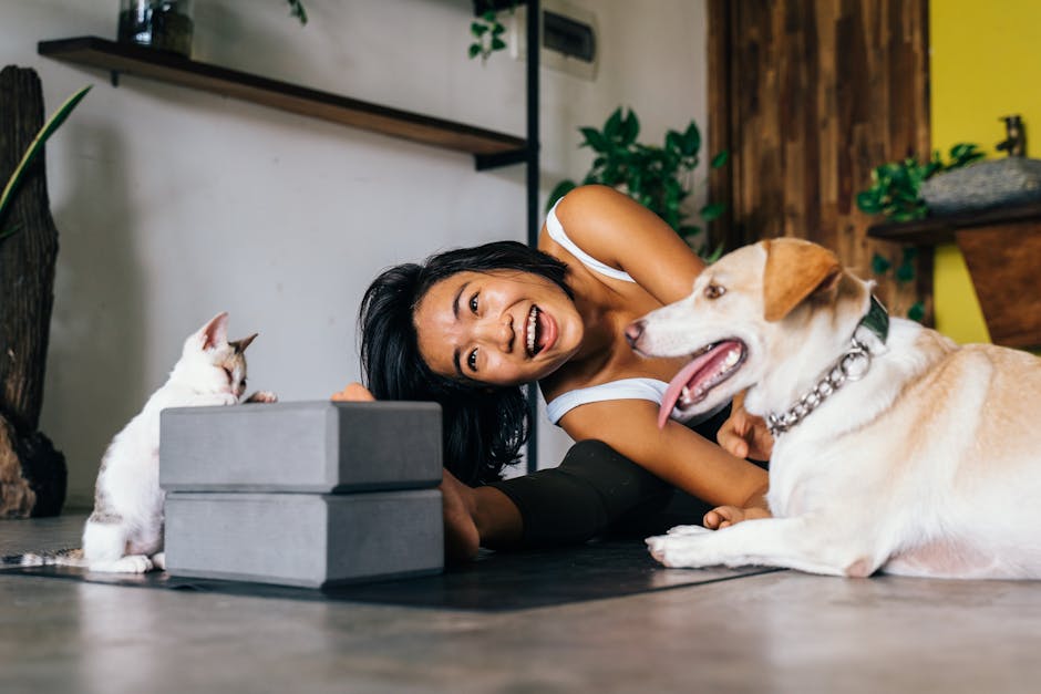 A Quick Start Guide to Pet Health Advice for Happy, Healthy Pets