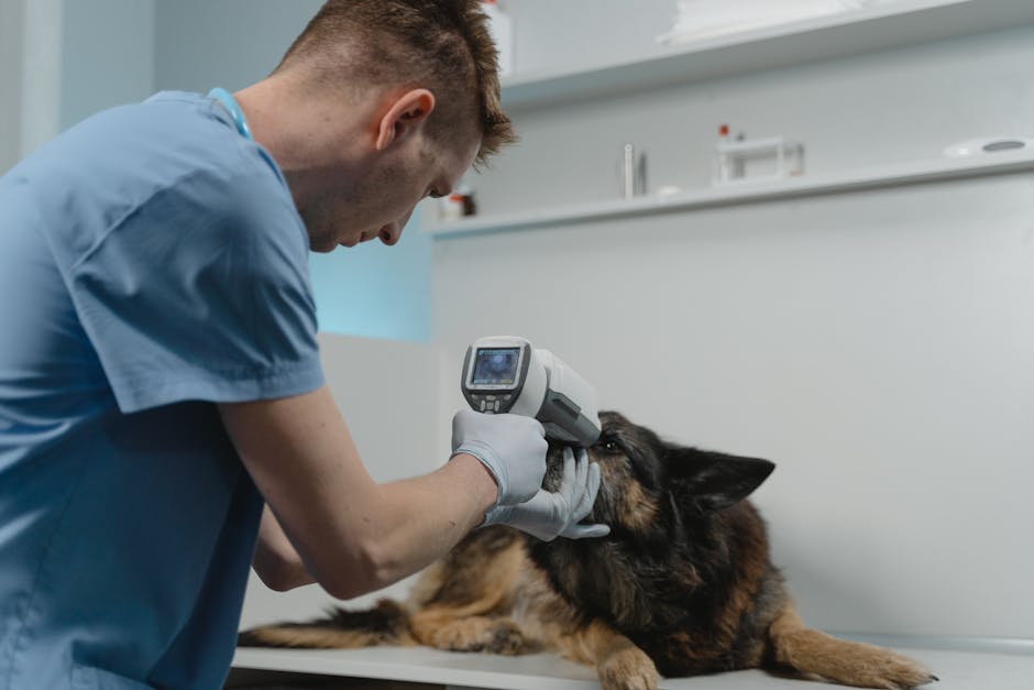 The Amazing Latest Pet Technologies You Need to Try Today